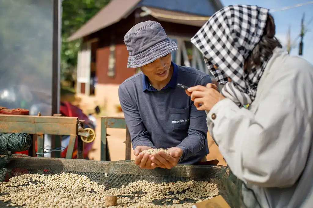 phoi ca phe specialty coffee tai son pacamara farm