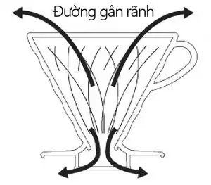 V60 gan ranh