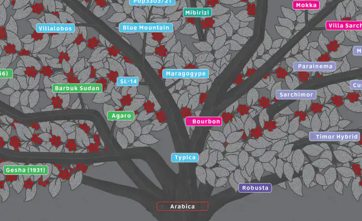 map single origin specialty coffee