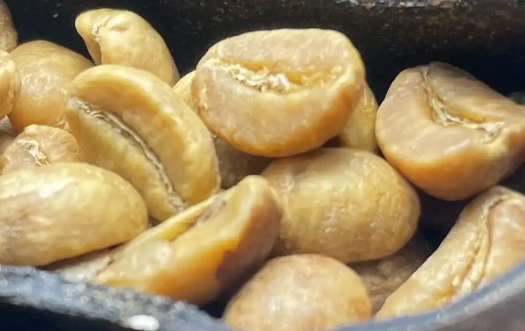 Sac thai Cam