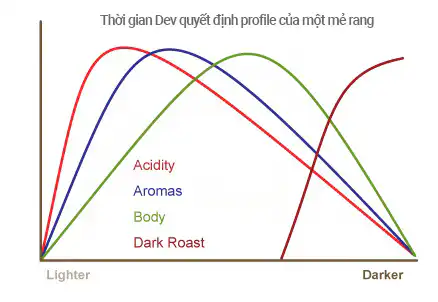 Rang cà phê 6