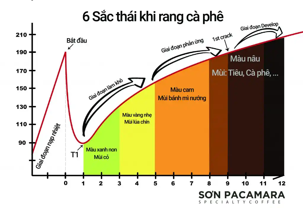 sac thai rang ca phe