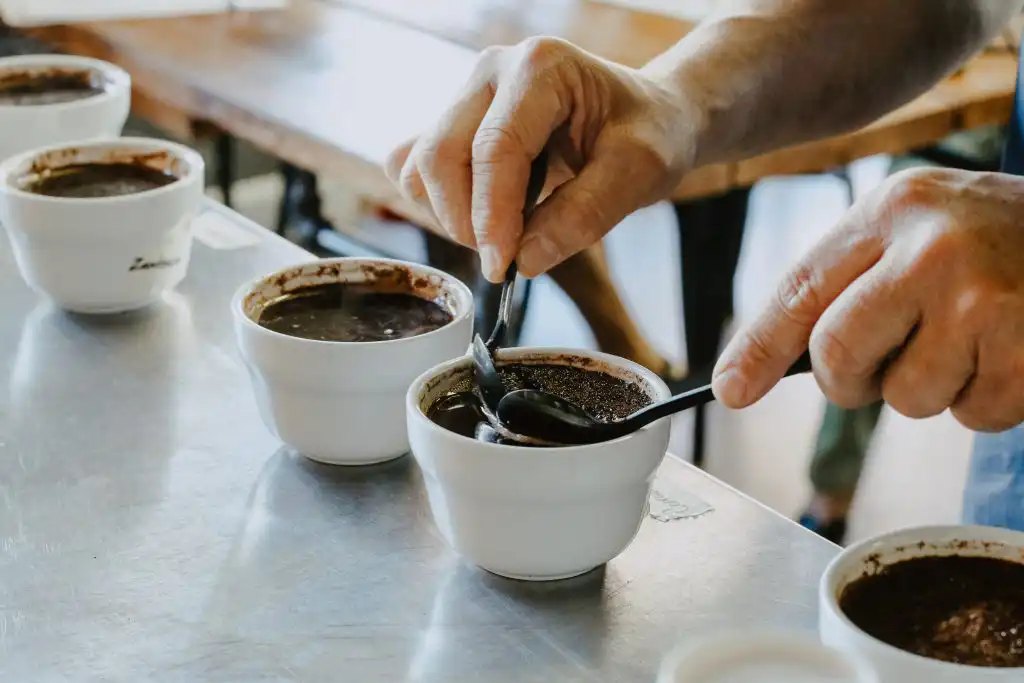 Cupping Coffee 4