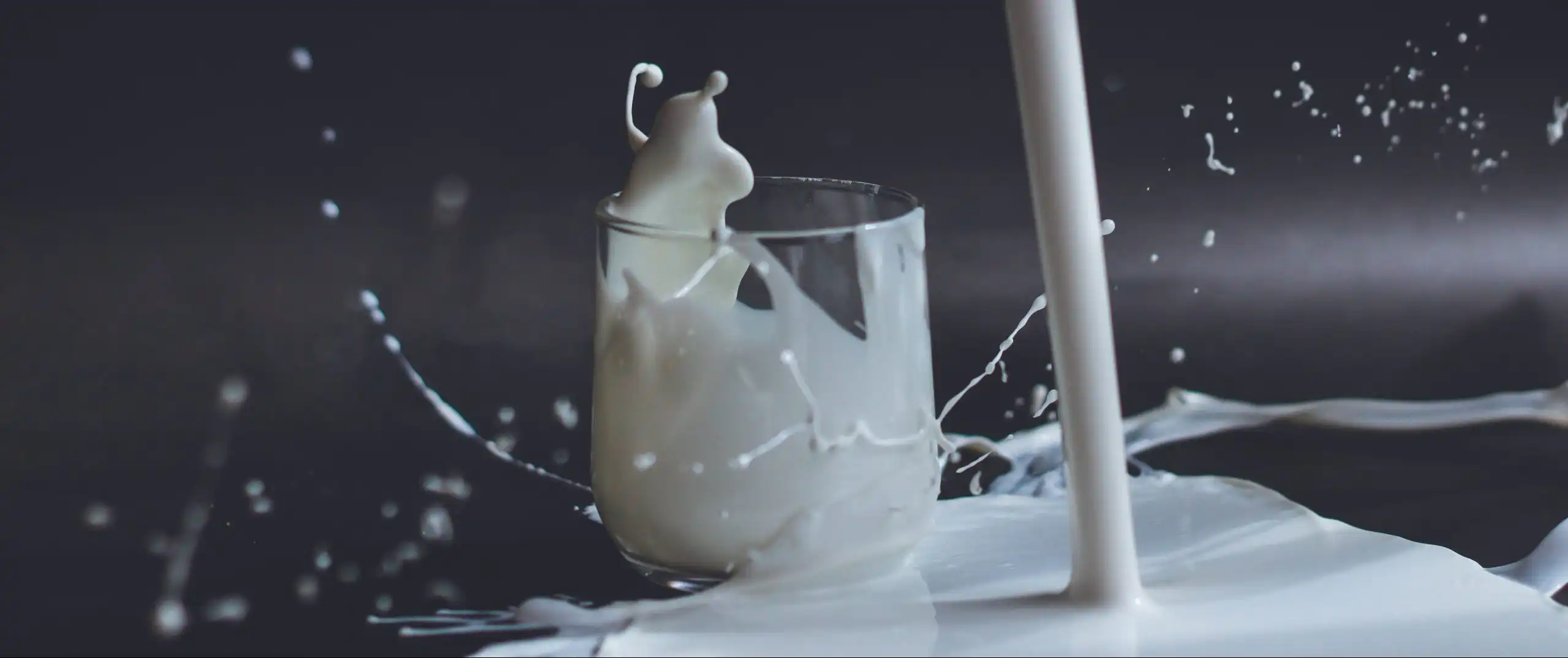 Sua tuoi va lop foam 1
